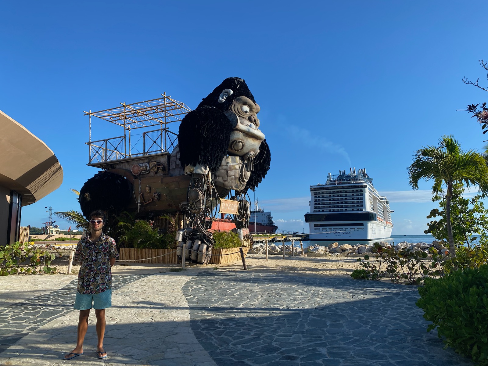 Missed your cruise ship at port? What now?