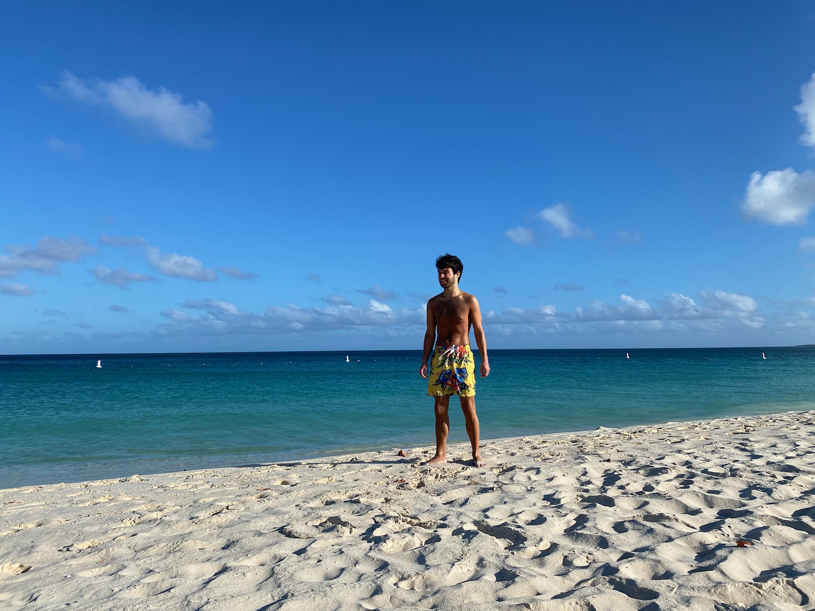 Unveiling the Beauty of Eagle Beach Aruba: Is It Truly the Best?