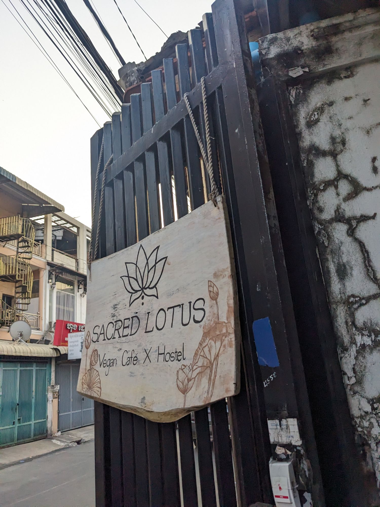 Discover the Best Vegan Restaurants in Phnom Penh for 2024