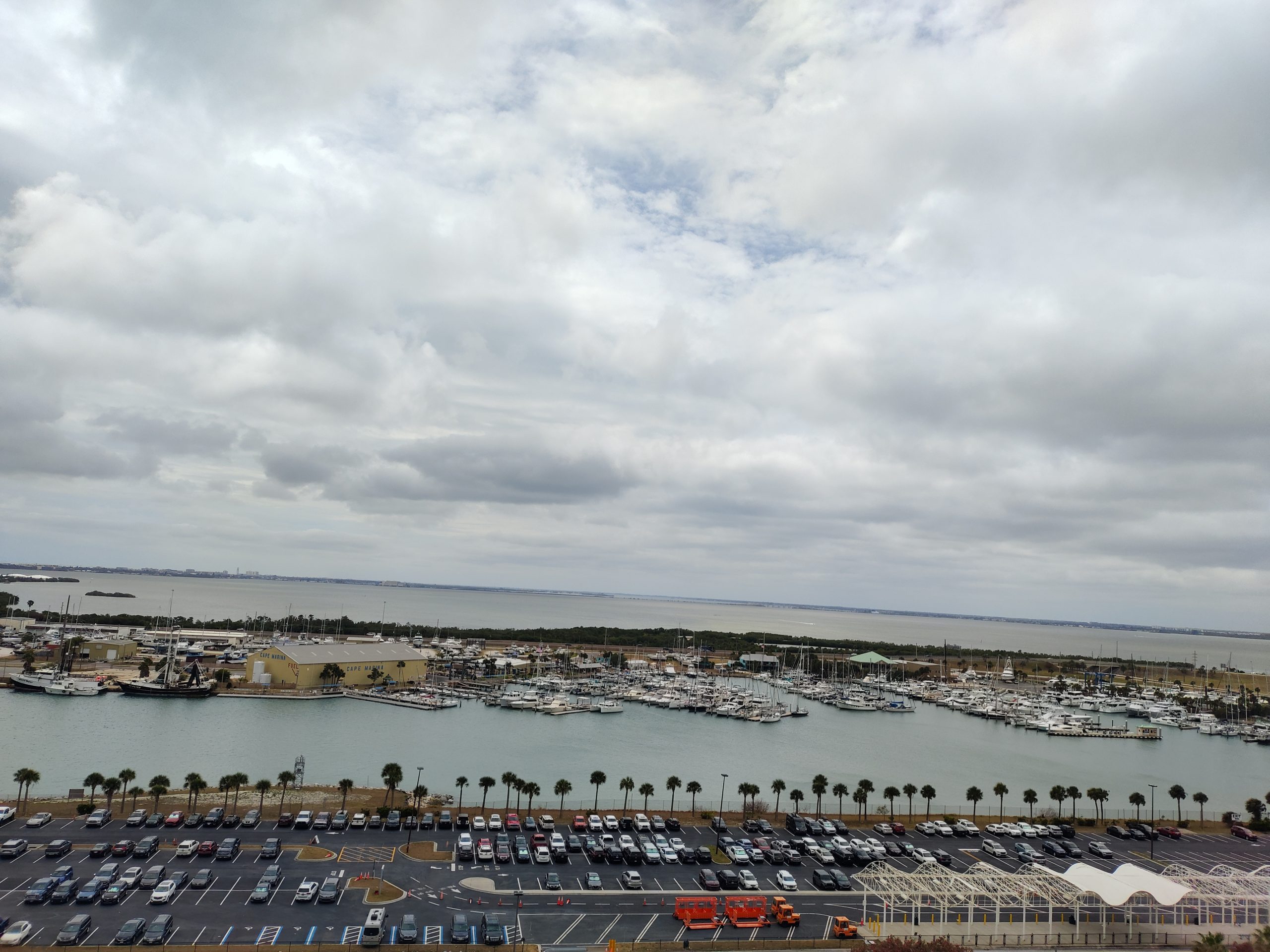 You Will Get Food Poisoning On A Cruise: Here Is Why