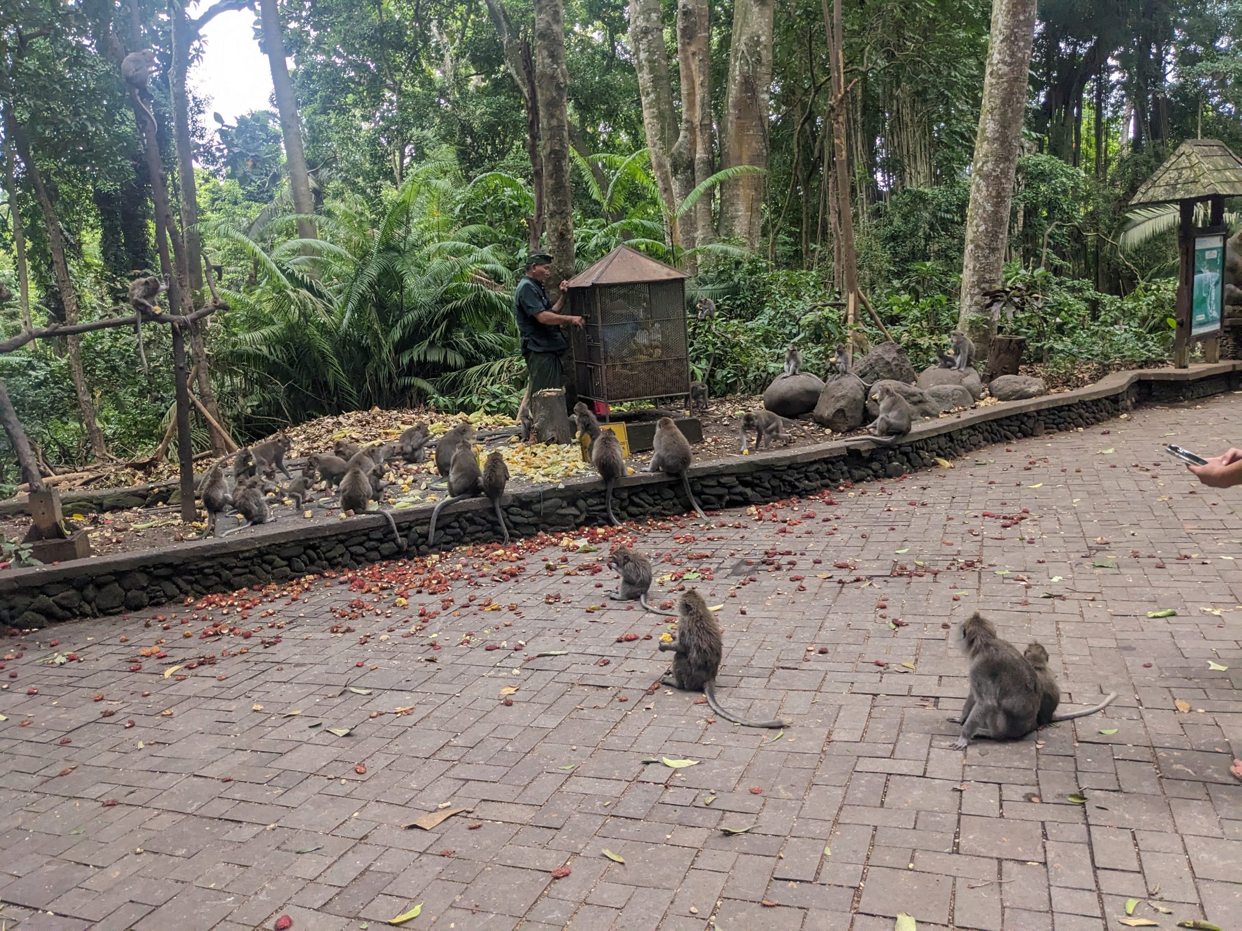 Why Animal Tourism is Unethical and How to Avoid It