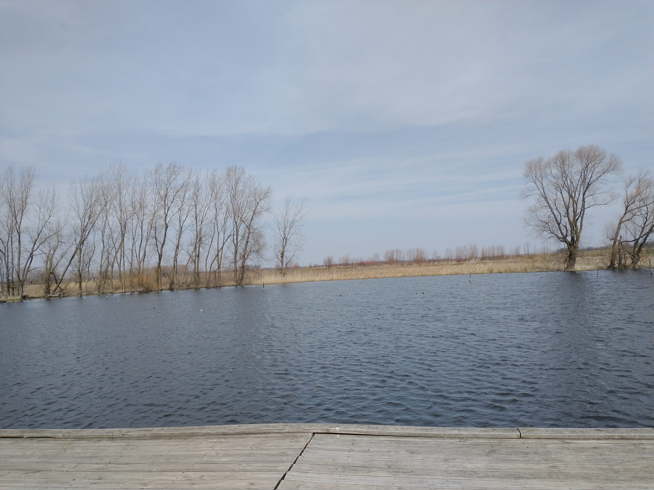 Free Things To Do in Lake Geneva, Wisconsin