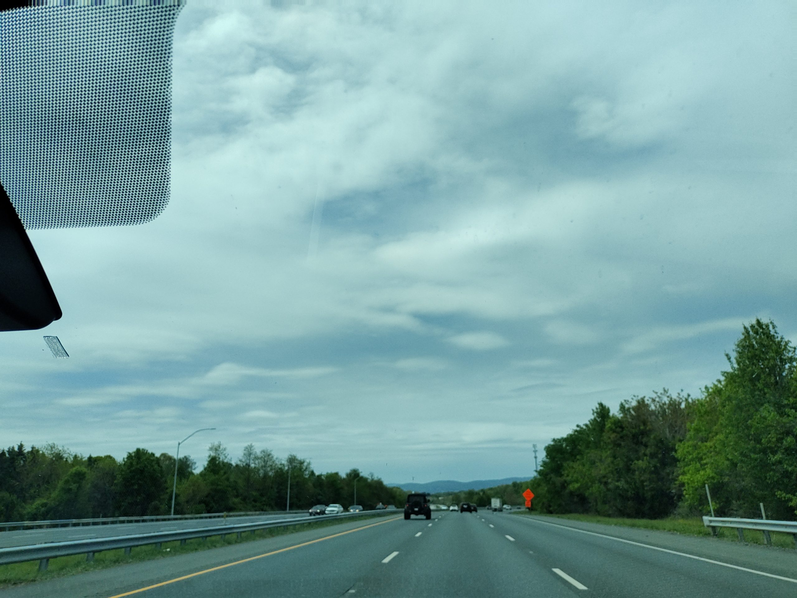 Cruising the Open Road Vegan Style: Crafting Your Perfect USA Road Trip
